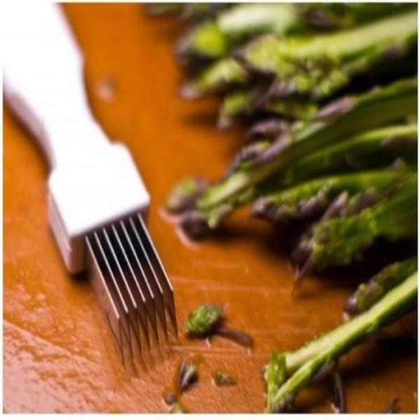 VEGETABLE NEGI CUTTER