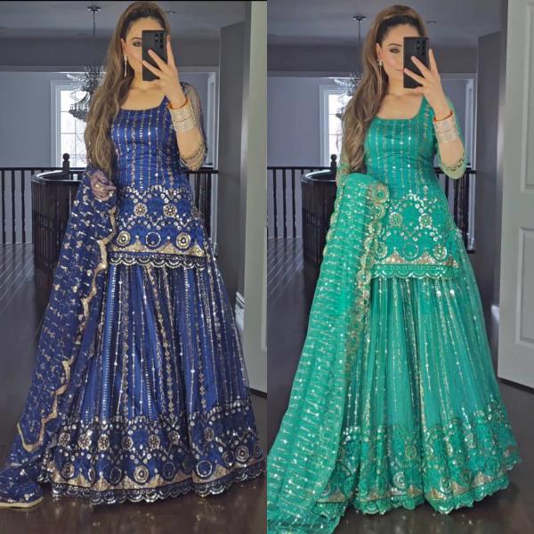 Faux Georgette With 5mm Sequence Fancy Border Work 