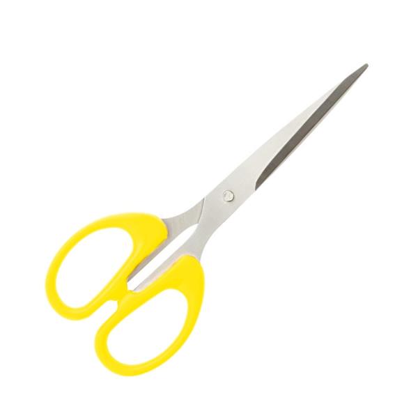 All Purpose-Large For Craft & Professional Scissors